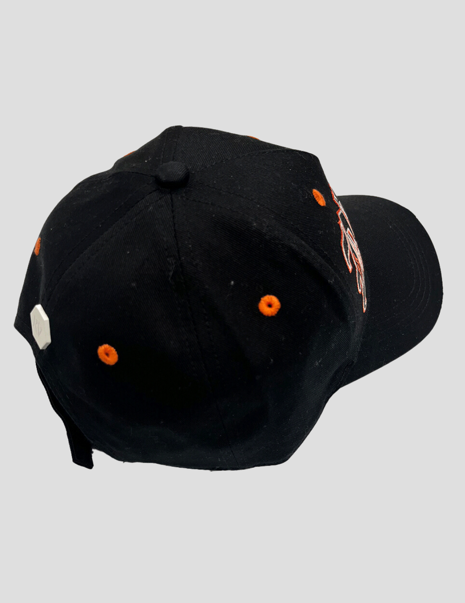 ROBERTO VINO MILANO FLAME CAP MULTI COLORS